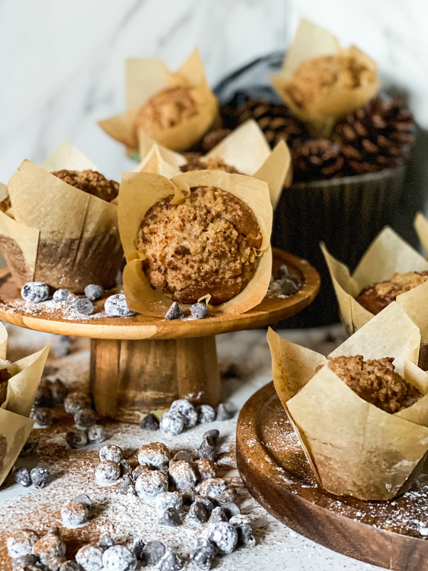 Muffins de Arandanos y Chispas de Chocolate